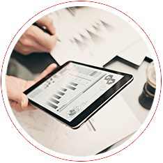 Estrategias y lineamientos de acción